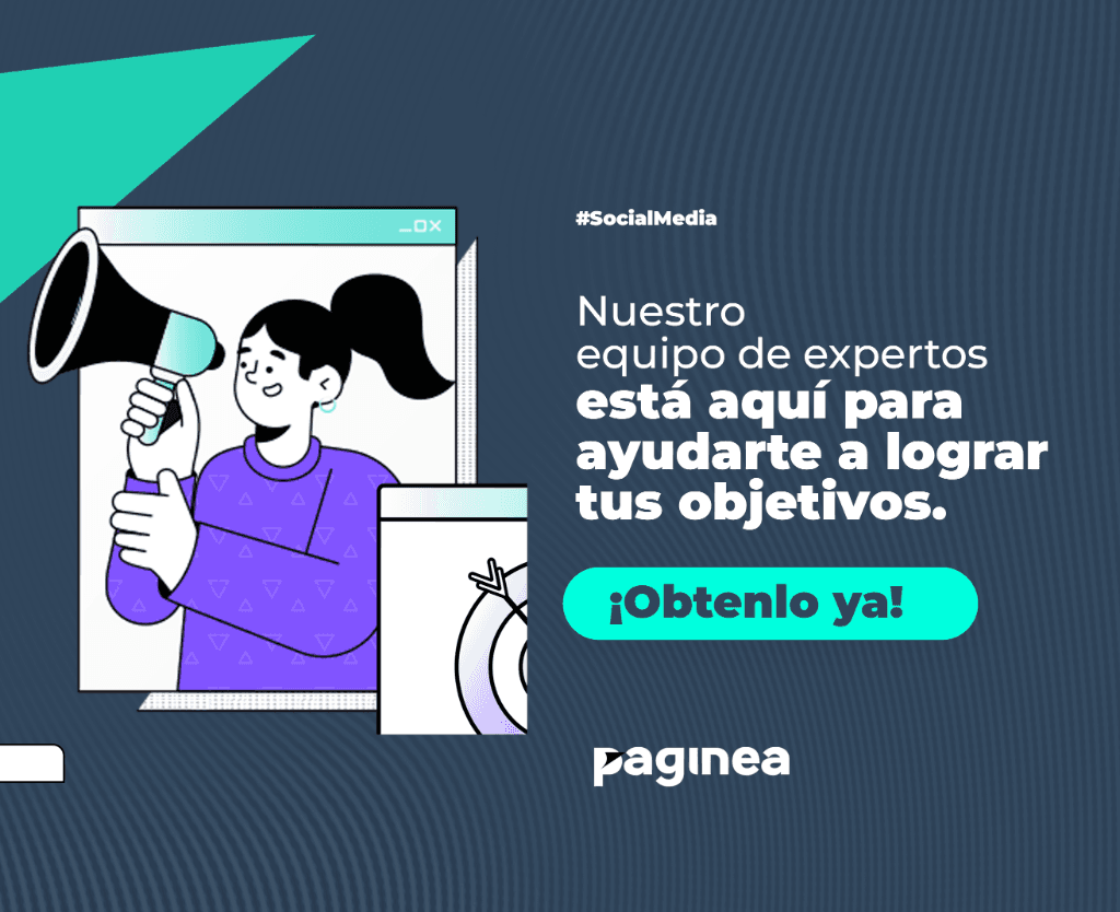 Equipo de expertos Paginea